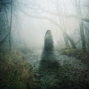 In Search Of the Unexplained: Paranormal Phenomena and Scientific Theories